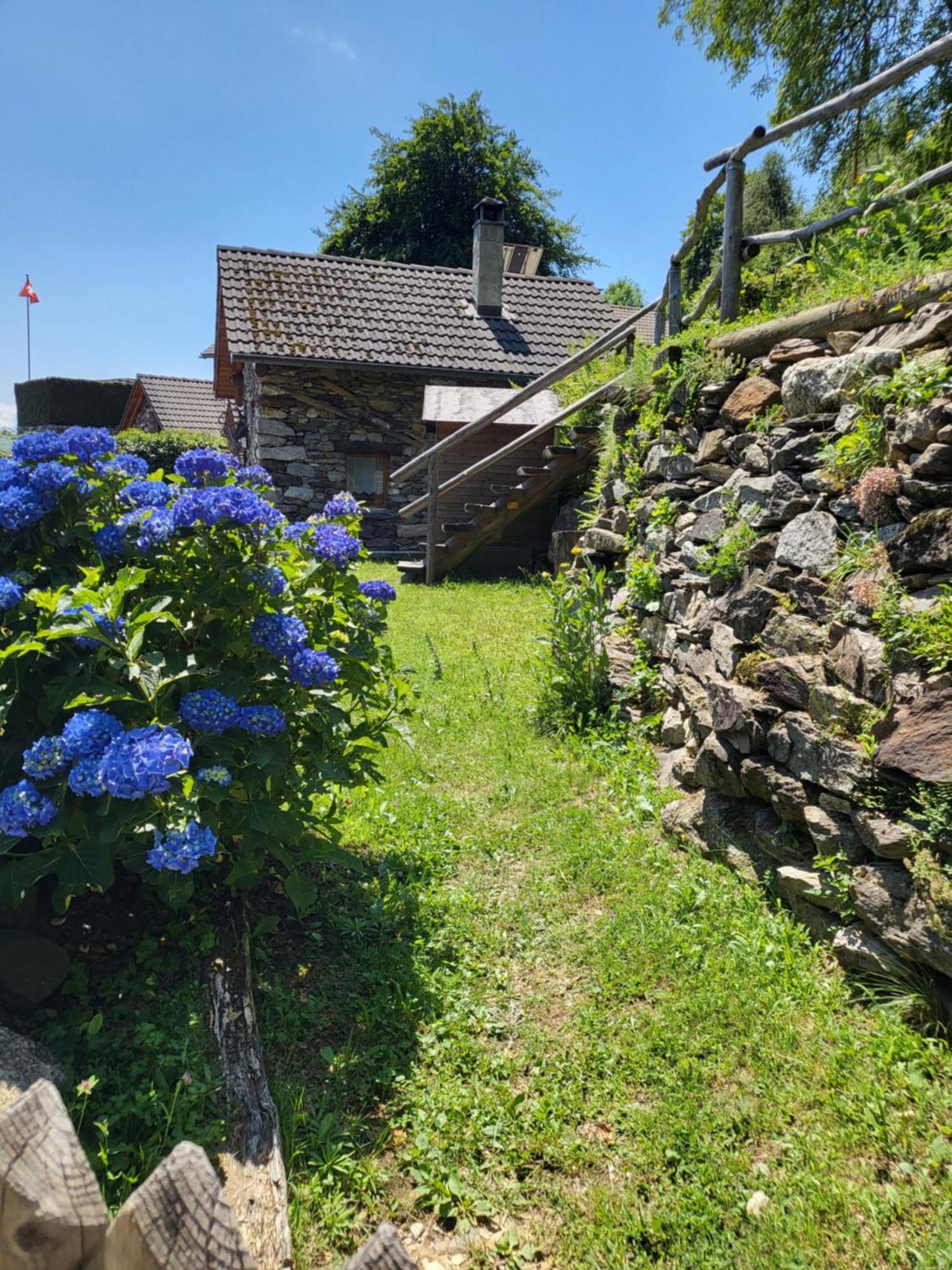 Casa Poiana Villa Ronco sopra Ascona Eksteriør billede